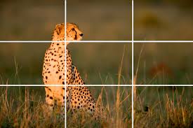 camera composition and tips: Rule of thirds